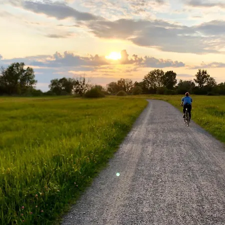 Daire Ferien-apartment Auenwald - Mit Priv Strandzugang Friedrichshafen